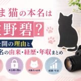 あま猫の本名は佐野碧が確実！？非公開の理由と活動名の由来・経歴・年収まとめ