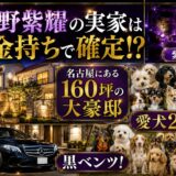 平野紫耀の実家はお金持ちで確定！？名古屋にある160坪の大豪邸と紫の滝・愛犬22匹・黒ベンツ！