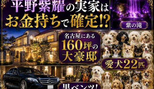 平野紫耀の実家はお金持ちで確定！？名古屋にある160坪の大豪邸と紫の滝・愛犬22匹・黒ベンツ！