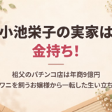 小池栄子の実家は金持ち！祖父のパチンコ店は年商9億円、ワニを飼うお嬢様から一転した生い立ち