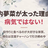 箭内夢菜が太った理由は病気ではない！役作りと食べるのが大好きな体質、現在は豆腐チャーハンで引き締め中